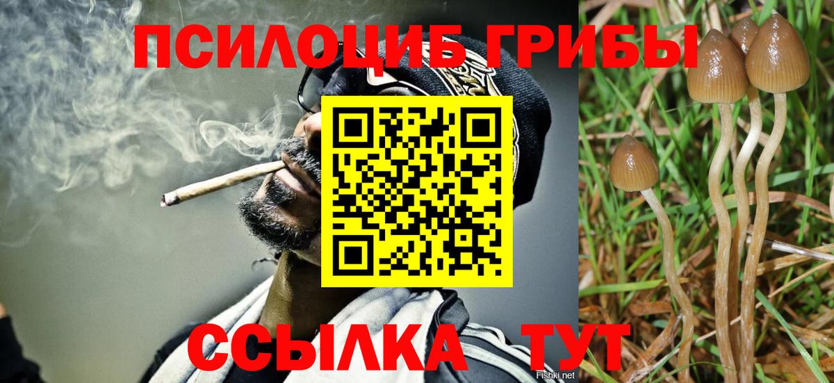Галлюциногенные грибы Cubensis Гудермес