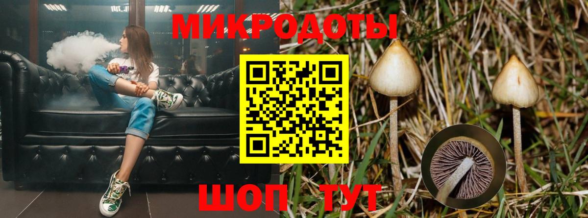 Гудермес  Галлюциногенные грибы Magic Shrooms  Вход с VPN  Галлюциногенные грибы Psilocybe 